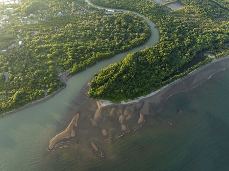 Aerial view of the river mouth meeting the sea with lush green vegetation and sandy banks in Komodo East Nusa Tenggara Indonesia. Aerial view of the river mouth meeting the sea with lush green vegetation and sandy banks in Komodo East Nusa Tenggara Indonesia.