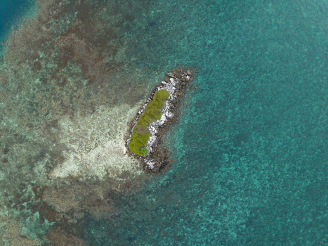 Aerial view of a small rocky island with sparse green vegetation surrounded by the clear turquoise waters of the Java Sea Jepara Regency Indonesia.