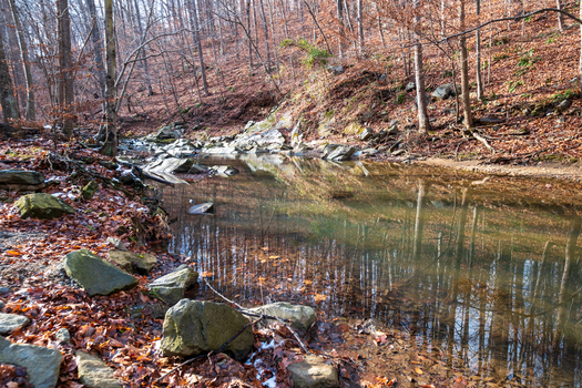 View of light plays on the calm surface of a stream reflecting the bare trees and rocky banks of Scott s Run Nature Preserve Scott s Run Virginia United States. View of light plays on the calm surface of a stream reflecting the bare trees and rocky banks of Scott s Run Nature Preserve Scott s Run Virginia United States.