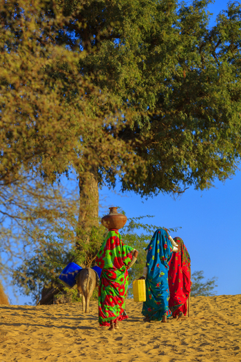View of women in colorful traditional clothing walking on a sandy path with a donkey in Nagarparkar Sindh Pakistan.
