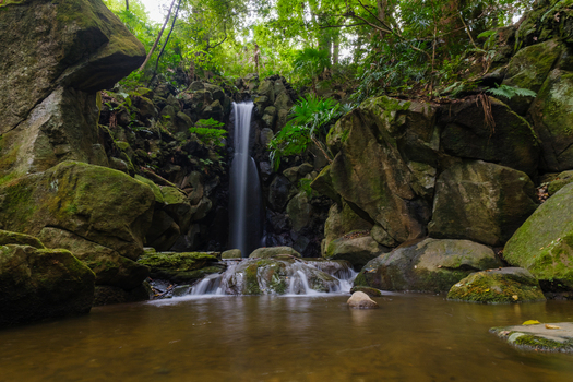 View of a serene waterfall cascading over moss covered rocks into a tranquil pool surrounded by lush greenery Narita Chiba Japan. View of a serene waterfall cascading over moss covered rocks into a tranquil pool surrounded by lush greenery Narita Chiba Japan.