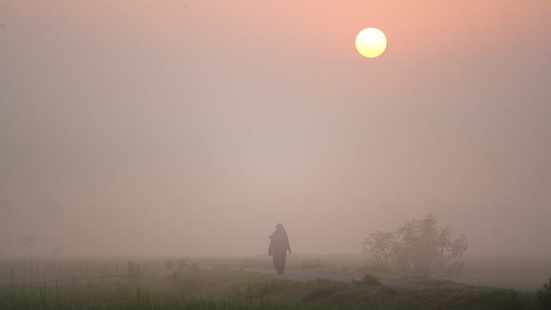 View of a person walking in the morning mist Bangladesh. View of a person walking in the morning mist Bangladesh.