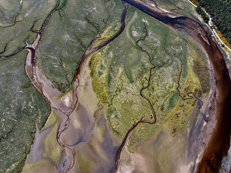 Aerial view of Findhorn Bay showing intricate tidal channels winding through green salt marshes and sandy banks in Findhorn Scotland United Kingdom. Aerial view of Findhorn Bay showing intricate tidal channels winding through green salt marshes and sandy banks in Findhorn Scotland United Kingdom.