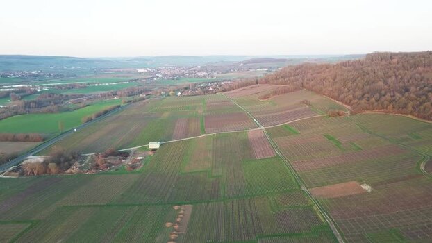 Aerial view of vineyards and a forest France.
