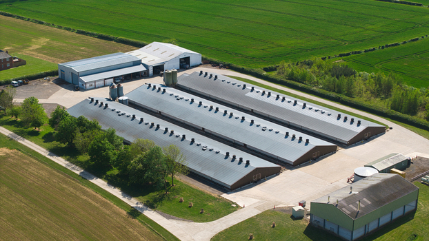 Aerial view of large industrial poultry farm buildings and silos surrounded by lush green agricultural fields under bright sunlight in Kettering England United Kingdom. Aerial view of large industrial poultry farm buildings and silos surrounded by lush green agricultural fields under bright sunlight in Kettering England United Kingdom.