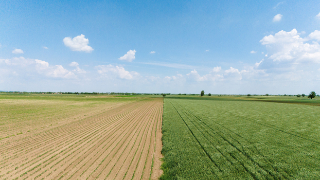 Aerial view of vast agricultural fields with green crops and plowed soil under a blue sky with white clouds Novi Sad Vojvodina Serbia. Aerial view of vast agricultural fields with green crops and plowed soil under a blue sky with white clouds Novi Sad Vojvodina Serbia.