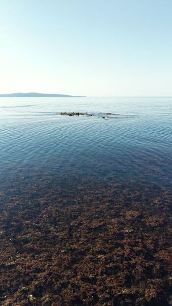 Aerial view of the calm Black Sea and rocky reef Bulgaria. Aerial view of the calm Black Sea and rocky reef Bulgaria.