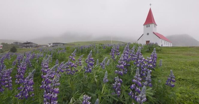 View of a white church with a red roof in a field in Iceland. View of a white church with a red roof in a field in Iceland.