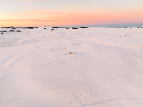 Aerial view of a vast expanse of pristine white snow blanketed under a soft pastel sky dotted with distant structures Nasbinals Occitanie France.