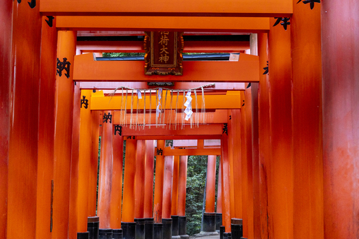View of the iconic Senbon Torii vermilion gates with traditional Japanese calligraphy and shimenawa rope at Fushimi Inari taisha shrine Kyoto Kyoto Japan.