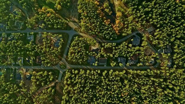 Aerial view of houses nestled in a dense forest Latvia.