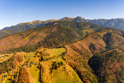 Aerial view of the Carpathian Mountains in autumn with vibrant forest foliage rolling green meadows and scattered small wooden structures in Bran Brasov Romania. Aerial view of the Carpathian Mountains in autumn with vibrant forest foliage rolling green meadows and scattered small wooden structures in Bran Brasov Romania.