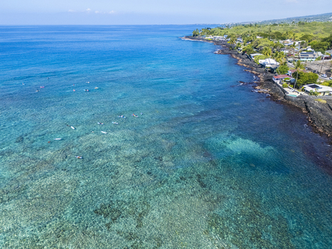 Aerial view of Kahalu u Beach Park with clear turquoise water coral reefs and people surfing along the volcanic rock coastline in Kailua Kona Hawaii United States. Aerial view of Kahalu u Beach Park with clear turquoise water coral reefs and people surfing along the volcanic rock coastline in Kailua Kona Hawaii United States.
