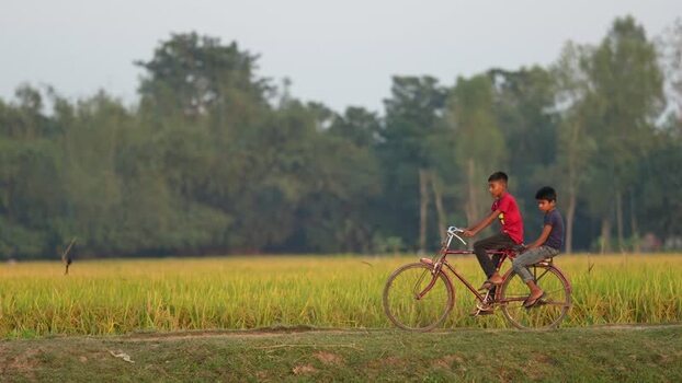 View of two boys riding a bicycle past a rice field Bangladesh.
