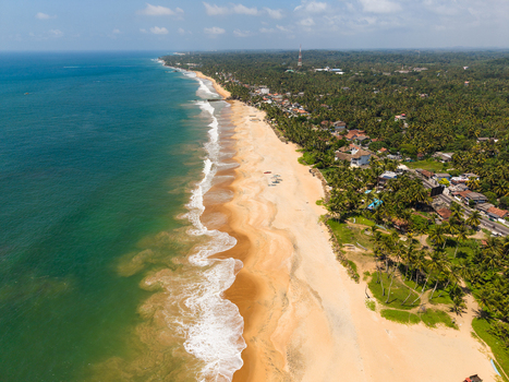 Aerial view of a long sandy coastline with turquoise waves crashing on the shore and dense palm trees lining the beach in Galle Southern Province Sri Lanka.