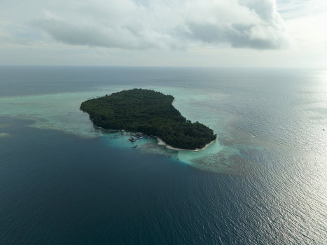 Aerial view of a verdant island oasis surrounded by a gradient of turquoise shallows fading into the deep blue sea at Menjangan Kecil Island Karimunjawa Indonesia.