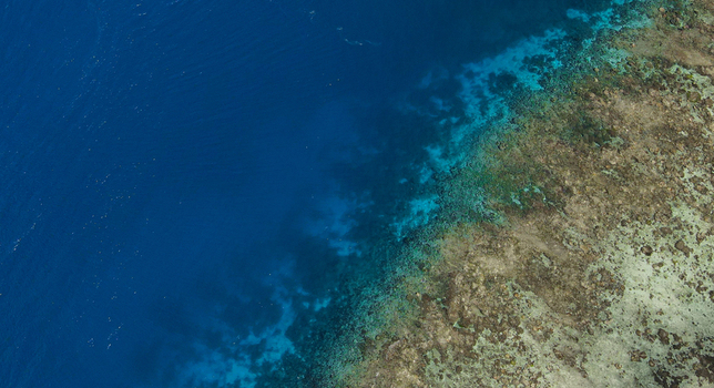 Aerial view of the vibrant coral reef ecosystem in the clear turquoise waters of Raja Ampat Southwest Papua Indonesia.