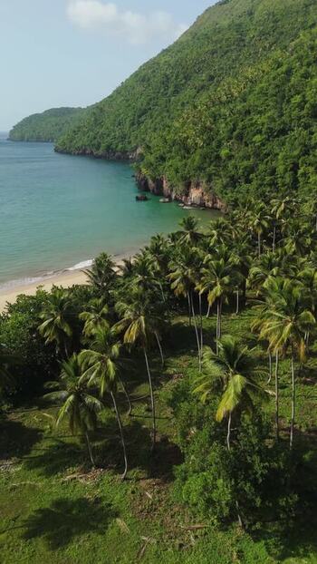 Aerial view of Playa El Valle in Samana Dominican Republic.
