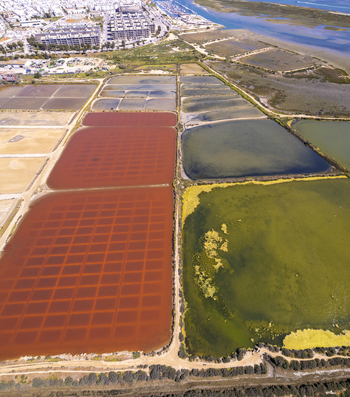 Aerial view of the colorful salt pans of Salinas do Grelha with distinct red and green water basins adjacent to the coastal town and marina in Olhao Faro Portugal. Aerial view of the colorful salt pans of Salinas do Grelha with distinct red and green water basins adjacent to the coastal town and marina in Olhao Faro Portugal.