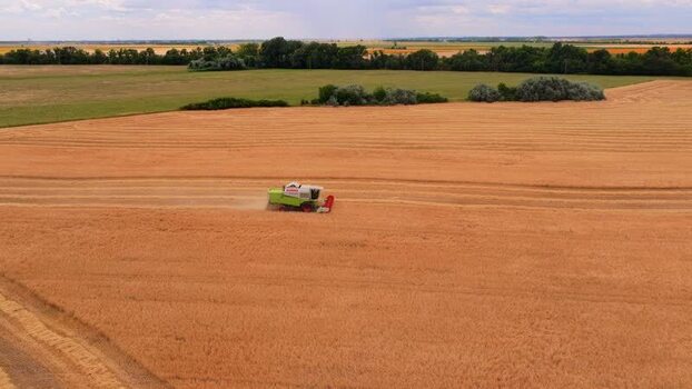 Aerial view of combine harvester in wheat field Hungary.