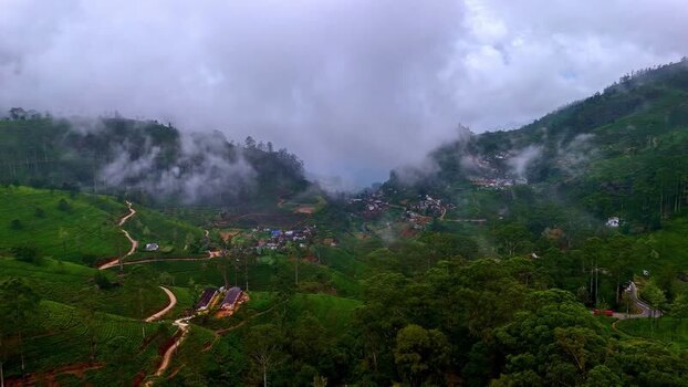 Aerial view of tea plantations in the hills Sri Lanka.