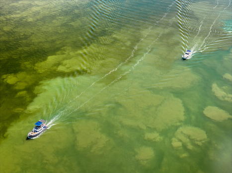 Aerial view of two motorboats cruising on the green river water creating white wakes in Belgrade City of Belgrade Serbia. Aerial view of two motorboats cruising on the green river water creating white wakes in Belgrade City of Belgrade Serbia.
