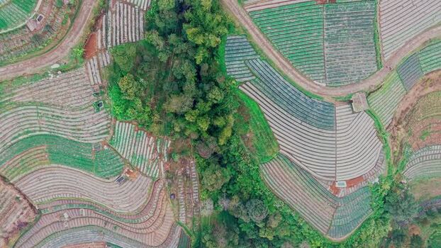 Aerial view of Nepal Van Java terraced fields Indonesia. Aerial view of Nepal Van Java terraced fields Indonesia.