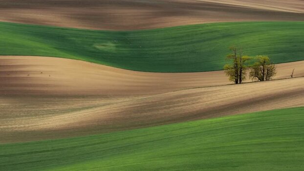 Aerial view of rolling green and brown hills with trees Czechia.