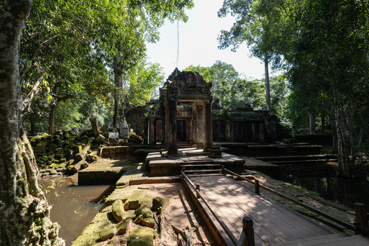 View of the ancient stone structures and wooden walkway at Angkor Wat temple surrounded by lush jungle trees in Krong Siem Reap Siem Reap Province Cambodia. View of the ancient stone structures and wooden walkway at Angkor Wat temple surrounded by lush jungle trees in Krong Siem Reap Siem Reap Province Cambodia.