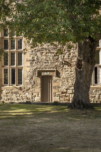 View of the historic stone architecture of Durham Cathedral with a wooden door mullioned windows and a large tree in the foreground in Durham England United Kingdom. View of the historic stone architecture of Durham Cathedral with a wooden door mullioned windows and a large tree in the foreground in Durham England United Kingdom.