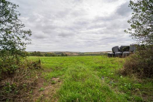 View of a green field with black plastic wrapped hay bales under a cloudy sky in Deer Park Looe Cornwall United Kingdom. View of a green field with black plastic wrapped hay bales under a cloudy sky in Deer Park Looe Cornwall United Kingdom.