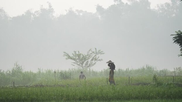 View of a farmer in a misty field in Bogura Bangladesh.