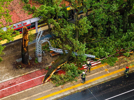Riga Latvia 23 August 2026 Aerial view of a large tree fallen onto a metal structure on a sidewalk with firefighters assessing the damage.