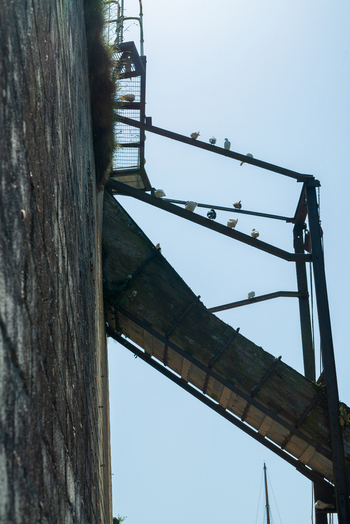 View of a metal gangway attached to a historic stone wall with birds perched on the railings in Charlestown Cornwall United Kingdom. View of a metal gangway attached to a historic stone wall with birds perched on the railings in Charlestown Cornwall United Kingdom.