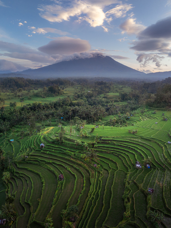 Aerial view of lush green rice terraces and tropical forests with Mount Agung volcano in the background under a cloudy sky Sidemen Bali Indonesia. Aerial view of lush green rice terraces and tropical forests with Mount Agung volcano in the background under a cloudy sky Sidemen Bali Indonesia.