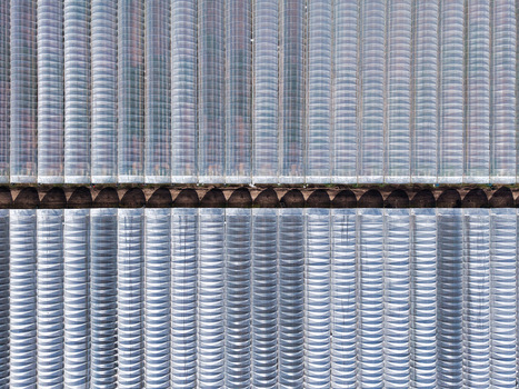 Aerial view of greenhouses stretching out under the sun their glass roofs reflecting the sky above creating an intricate pattern of light and shadow Stafford England United Kingdom. Aerial view of greenhouses stretching out under the sun their glass roofs reflecting the sky above creating an intricate pattern of light and shadow Stafford England United Kingdom.