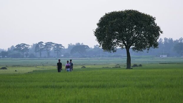 View of people walking in a green field in Bogura Bangladesh. View of people walking in a green field in Bogura Bangladesh.