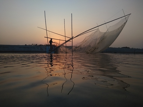 View of a fisherman operating a traditional lift net in the river at sunset in Kushtia Khulna Division Bangladesh. View of a fisherman operating a traditional lift net in the river at sunset in Kushtia Khulna Division Bangladesh.