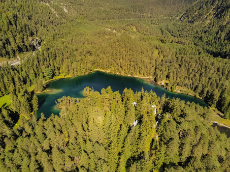 Aerial view of Fernsteinsee surrounded by dense pine forests and mountainous terrain in Imst District Tyrol Austria.