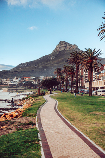View of a winding pedestrian path lined with palm trees and a green lawn with Lion s Head mountain in the background in Cape Town Western Cape South Africa. View of a winding pedestrian path lined with palm trees and a green lawn with Lion s Head mountain in the background in Cape Town Western Cape South Africa.