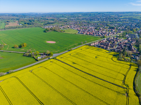 Aerial view of vibrant yellow rapeseed fields adjacent to green pastures and a residential area in Stone England United Kingdom. Aerial view of vibrant yellow rapeseed fields adjacent to green pastures and a residential area in Stone England United Kingdom.