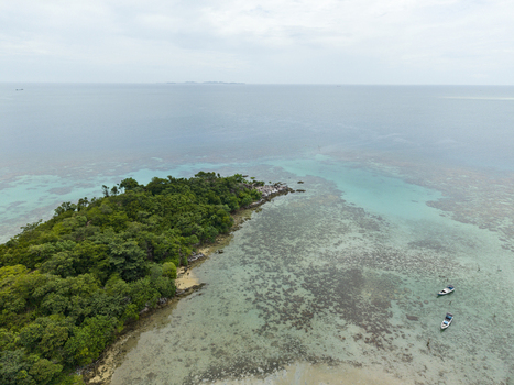 Aerial view of where emerald forests meet the turquoise sea boats rest on the clear water Annora beach Karimunjawa Jawa Tengah Indonesia.