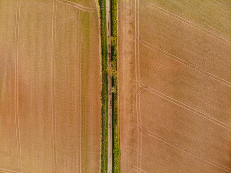 Aerial view of the rural landscape of Castlefields with a narrow path lined by trees dividing agricultural fields in Stafford England United Kingdom. Aerial view of the rural landscape of Castlefields with a narrow path lined by trees dividing agricultural fields in Stafford England United Kingdom.