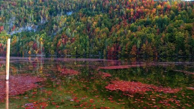Aerial view of Attersee in autumn Vocklabruck District Austria.