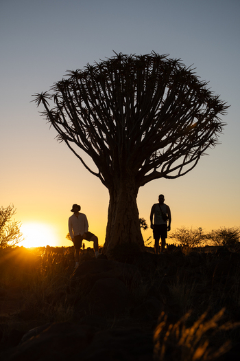 Aussenkehr Namibia 06 March 2026 View of silhouetted figures stand beneath the iconic quiver tree against the fiery hues of the setting sun. Aussenkehr Namibia 06 March 2026 View of silhouetted figures stand beneath the iconic quiver tree against the fiery hues of the setting sun.