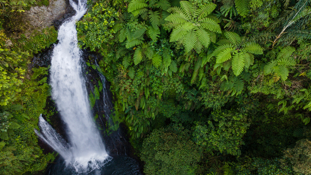 Aerial view of Gomblang Waterfall cascading through lush tropical forest and dense green ferns in Kecamatan Kedungbanteng Jawa Tengah Indonesia. Aerial view of Gomblang Waterfall cascading through lush tropical forest and dense green ferns in Kecamatan Kedungbanteng Jawa Tengah Indonesia.