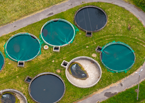 Aerial view of a trout aquaculture facility featuring several large circular fish tanks some covered with green netting set within a grassy landscape in Pomeranian Voivodeship Poland. Aerial view of a trout aquaculture facility featuring several large circular fish tanks some covered with green netting set within a grassy landscape in Pomeranian Voivodeship Poland.
