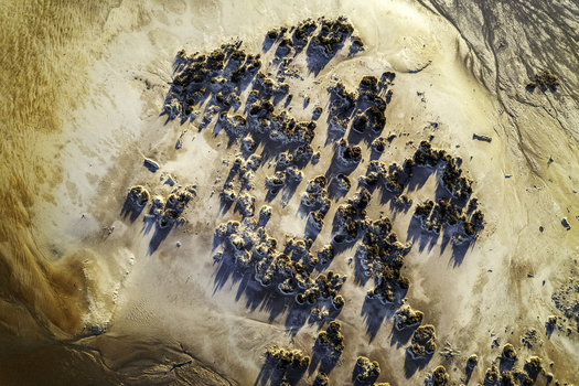 Aerial view of the salt formations and scrubby vegetation at Lake Tyrrell with long shadows cast across the sandy surface in Buloke Shire Victoria Australia.