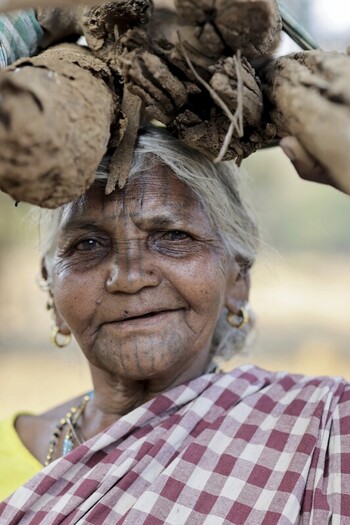 Odisha India 26 March 2026 View of a woman carrying a bundle on her head framed by the soft diffused light creating a portrait of resilience and daily life. Odisha India 26 March 2026 View of a woman carrying a bundle on her head framed by the soft diffused light creating a portrait of resilience and daily life.