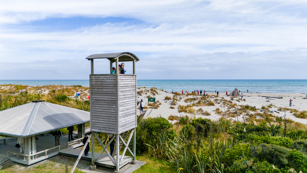 Aerial view of a wooden tower standing tall amidst lush greenery overlooking the sandy beach where people gather near the ocean Ship Creek Haast West Coast Region New Zealand. Aerial view of a wooden tower standing tall amidst lush greenery overlooking the sandy beach where people gather near the ocean Ship Creek Haast West Coast Region New Zealand.
